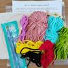 Russian DIY Punch Needle Embroidery Kit: Includes Yarn, Needle, Latch Hook, & Hoop for Knitting & Ornament Crafting