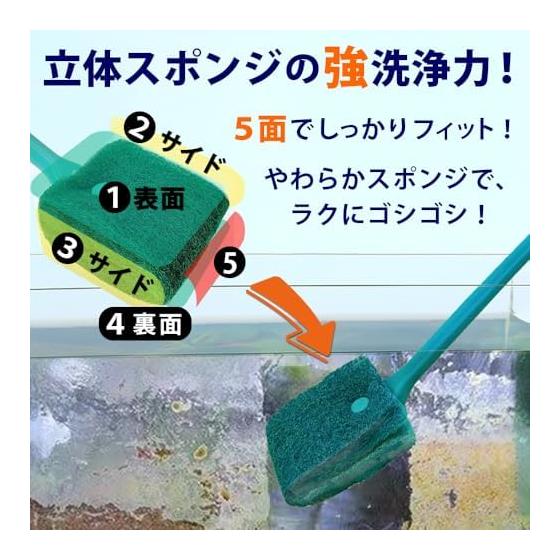 Aquarium Cleaning Moss Removal Sponge Lightweight Brush Set of 2 Aquarium Aquarium Cleaning Supplies Aquarium Moss Removal Cleaning Medaka Aquarium
