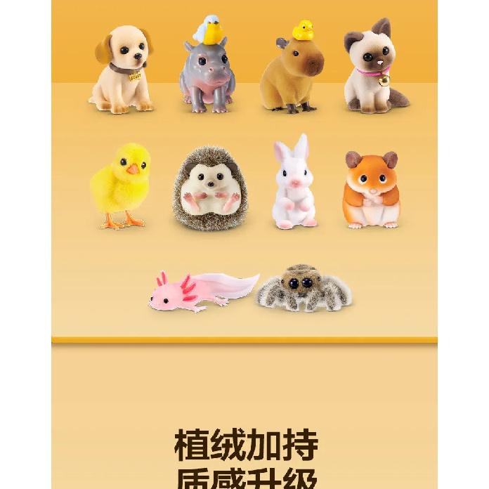 NEW ZURU My Mini Blind Box Flocked Miniature Cute Hedgehog Pet Collectible Toy Desktop Decoration For Adult Collection Hobby