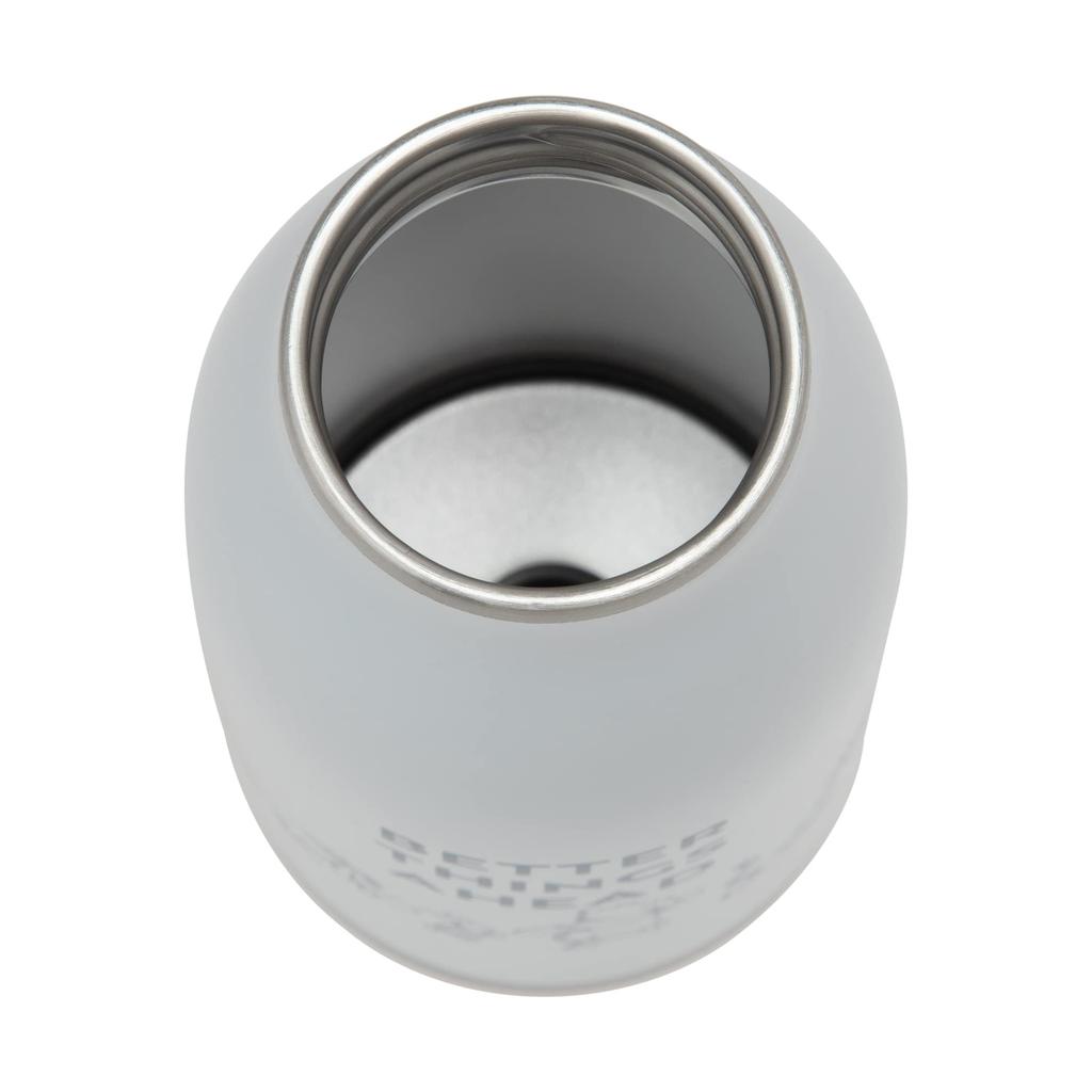 Maebata Disney Winnie the Pooh Thermos Bottle with 52823 Handle, 350ml, D-WP33