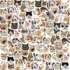 46 Pièces/Sac, Autocollants Chat, Pour Valise Skateboard Bagages Ordinateur Portable Téléphone Décoration DIY Papeterie Fournitures Scolaires Jouets
