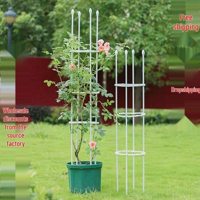 Free Shipping Clematis & Rose Climbing Frame Plant Support