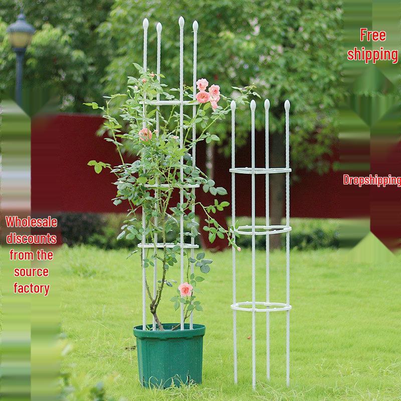 

Free Shipping Clematis & Rose Climbing Frame Plant Support 20mm diameter, 90cm height, 11mm pipe