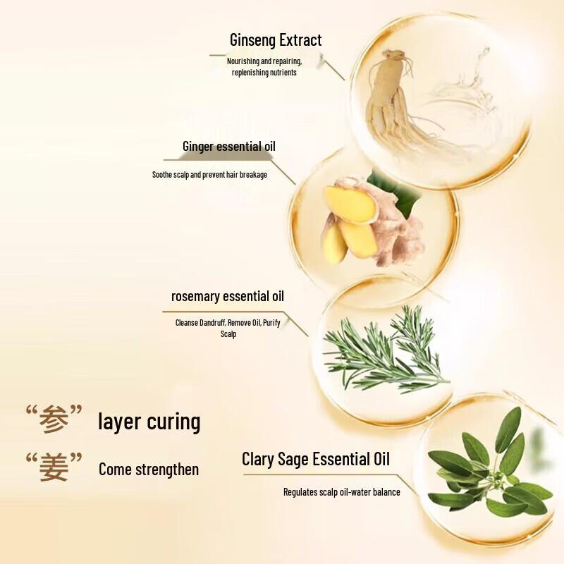 Shulei Ginseng Ginger Shampoo 500ml