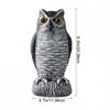Owl Bird For Sculpture for Outdoor Garden Balcony Porch 24.38x11.94cm