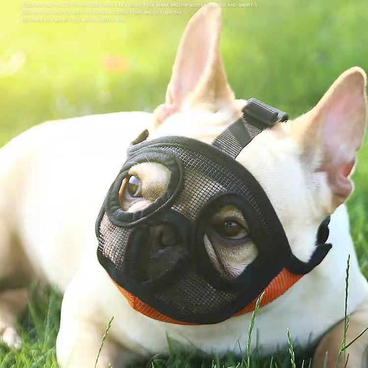 

Намордник для собак средних и больших пород, питбуль, золотистый ретривер, средства против лая, регулируемая капа для собак, французский бульдог More than 40 pocatty оранжевый