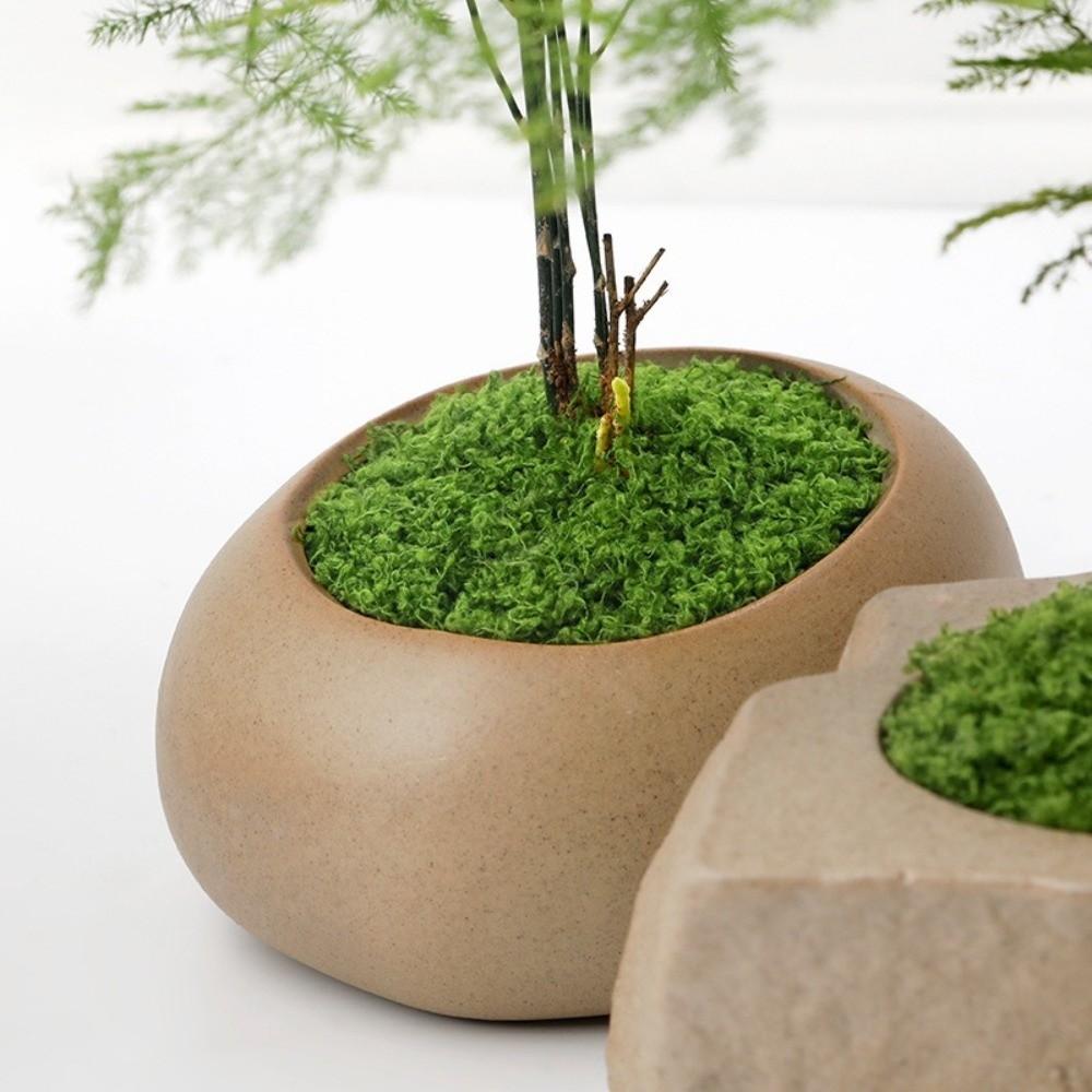 Polyester Artificial Moss Plants DIY Craft Realistic Texture Faux Preserved Moss No Watering No Fading Preserved Reindeer Moss