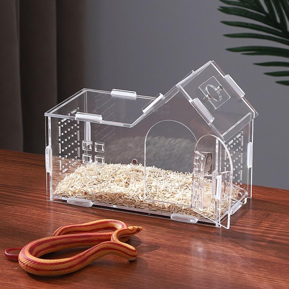 New Acrylic Reptile Habitat Anti-Escape Ventilated Spider Feeding Case Arboreal Clear Tarantula Enclosure Small Pet Supplies