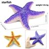 Simulated Marine animal model crab lobster starfish turtle underwater world Marine life Children's educational toy modelset toy