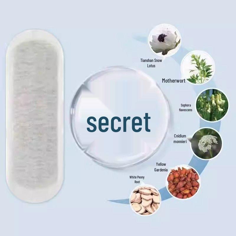 Huang Muxin Snow Lotus Panty Liners for Female Care