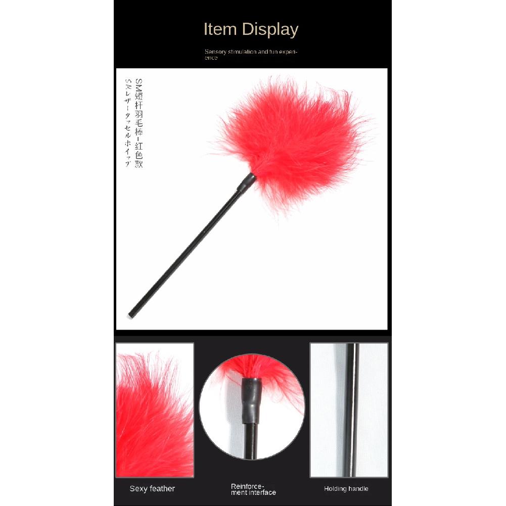 SM Short Rod Feather Stick Couple Foreplay Alternative Toys Adult Sexual