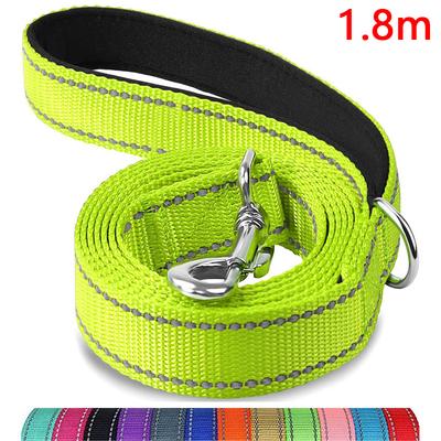 Köpek – Köpek Tasmaları ve Tasma Kayışları