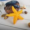 Resin Starfish  Ornament Home Aquarium Decoration Photography Props Mini Starfish 7.5cm