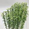 Green Cherry Palm Pine Forest N Architectural Tree 25 Pieces [DauStage] Blossom, Bamboo, Trees, Willow, Model, Gauge, Diorama, Railway, Miniature, 13.