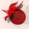 Mesh Flower Fascinator Hair Clip Adult Costume Accessory Barrettes for Teaparty