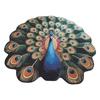 Special-shaped Peacock Carpet Soft Non-slip Peacock Mat Absorbent 60x60cm/100x100cm Door Gasket