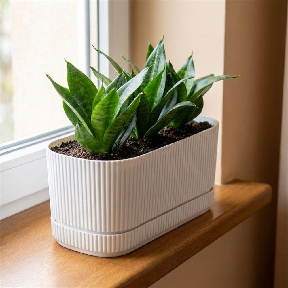 Double Layer Self Watering Flower Pot Plastic Flower Planter Hydroponics Plant Pot  Garden Supplies