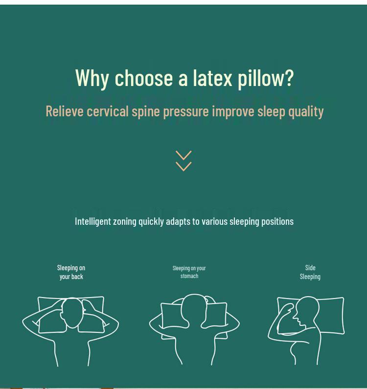Gesundheitskissen aus thailändischem Naturlatex – Memory-Schaumkern, hohe Rückstellkraft, formstabil, superweicher Baumwollbezug.