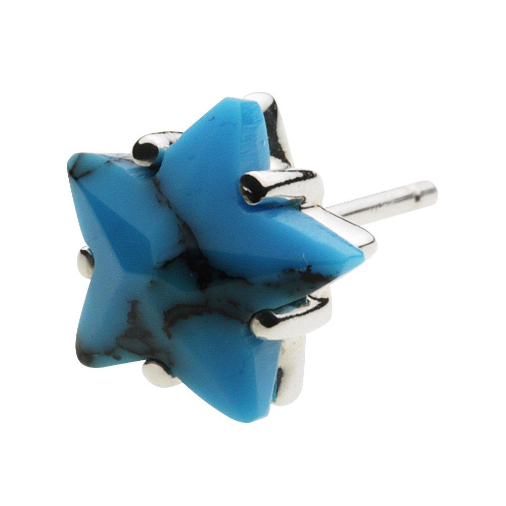 Stone Star Earrings with Blue Turquoise Silver e0490tq [Cenote] [925 Accessories]