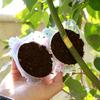 Plant Root Growing Box Reusable Cutting Grafting Rooting Ball Garden Propagation S Breeding Equipment Rooting Ball