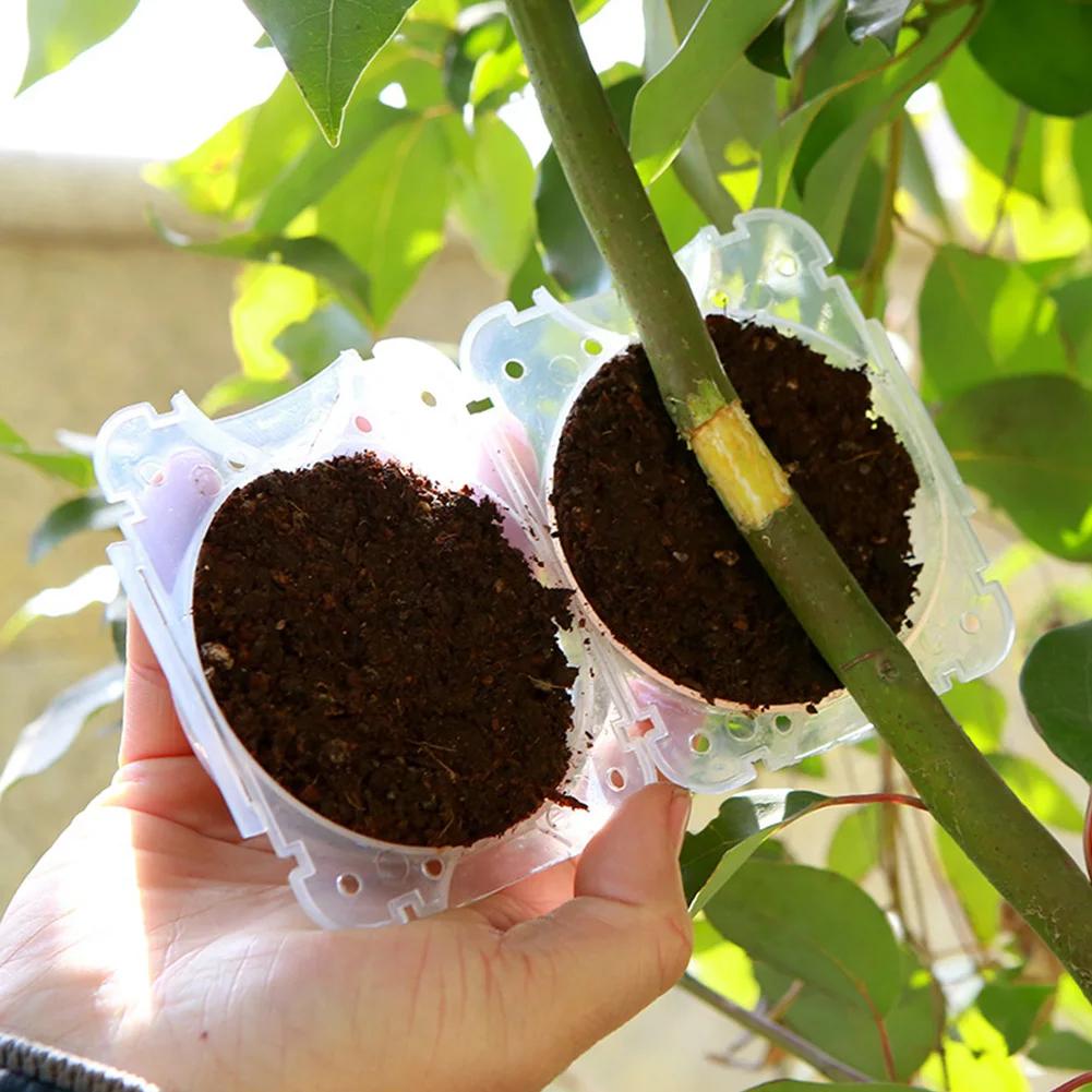 Plant Root Growing Box Reusable Cutting Grafting Rooting Ball Garden Propagation S Breeding Equipment Rooting Ball