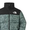 The North Face ICON FW24 Down Jacket Unisex Green NF0A3C8D-88D