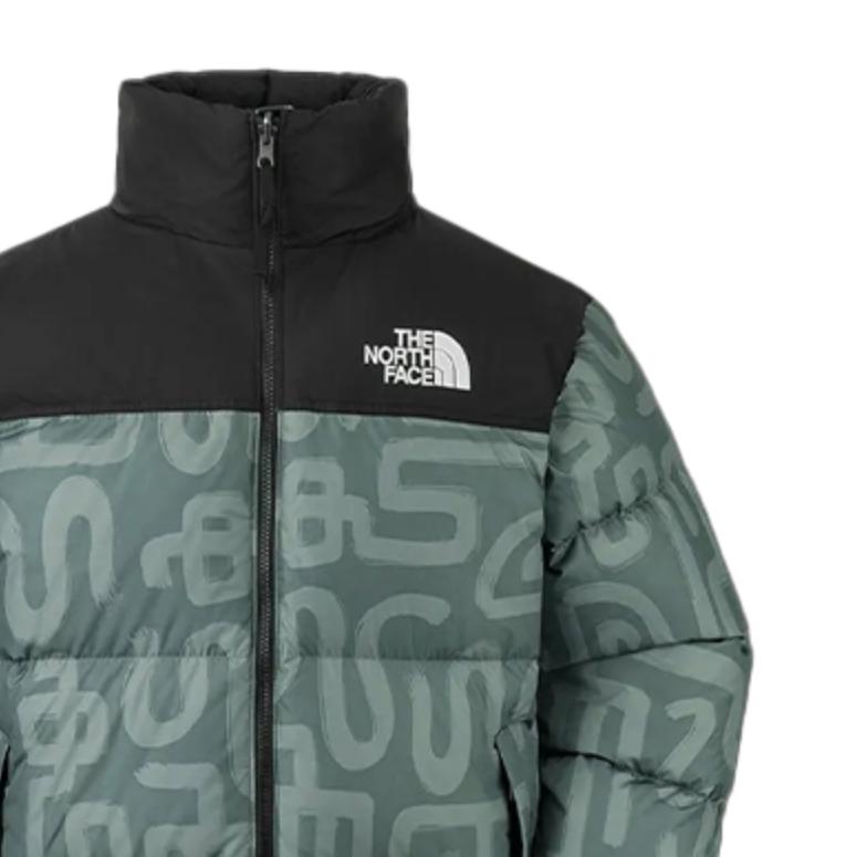 The North Face ICON FW24 Down Jacket Unisex Green NF0A3C8D-88D