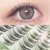 Mogugu - False Eyelashes