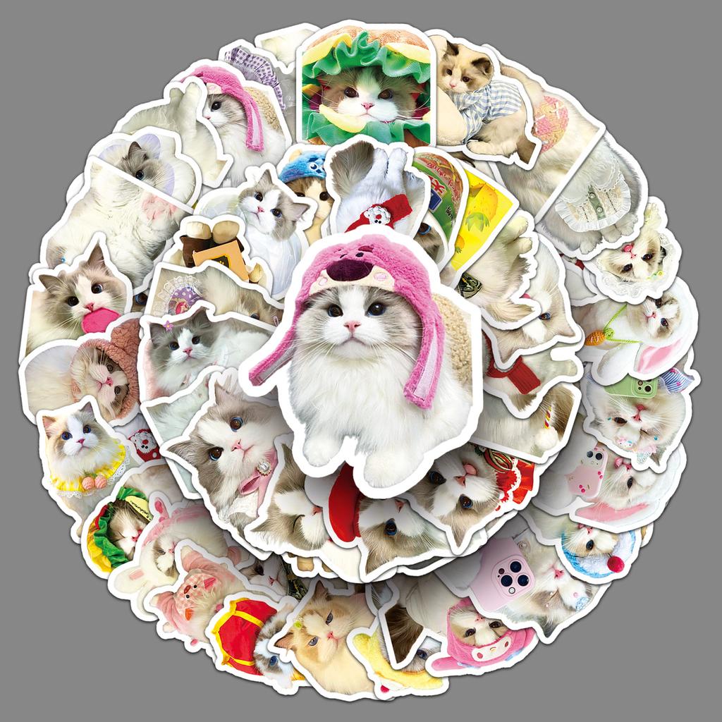 50 Ragdoll Cat Doodle Stickers Cute Kitten Ins Style Creative Decorative Water Cup Computer Mobile Case Stickers
