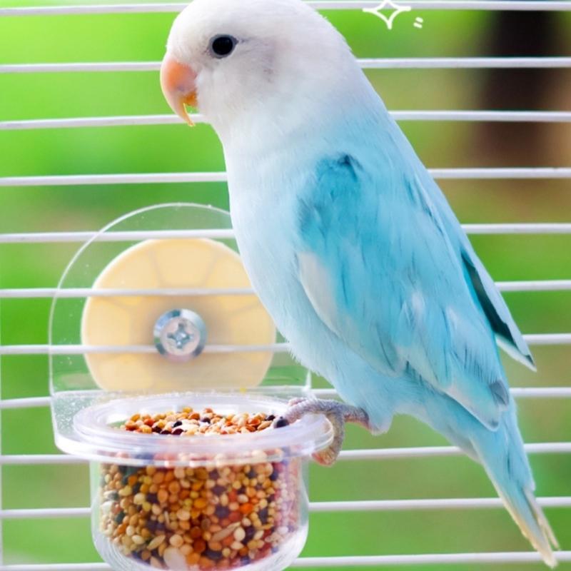 Bird Bowl Training Cup Feeding Bowl Parrots Cage Toy for Cockatiels Budgies Parrots Gym Toy Feeding Cup