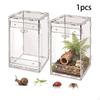 Reptile Terrarium Jumping Enclosure Acrylic Portable Sturdy Clear Breeding Box Animal