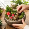 Miniature Garden Accessories with Resin Hedgehog and Wooden for Garden Decor