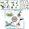 Jurassic Pterosaur T Rex Growth Cycle Model Pvc Educational Toy For Kids Science Learning