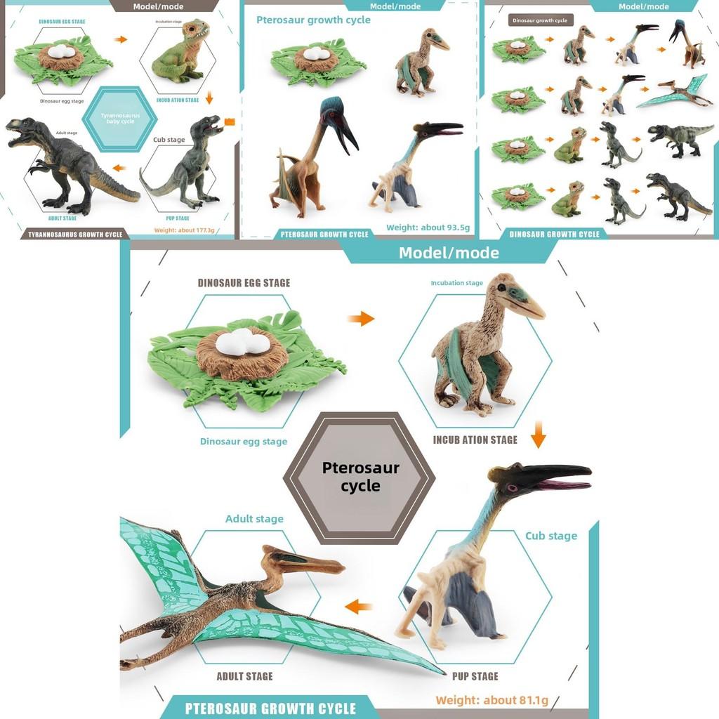 Jurassic Pterosaur T Rex Growth Cycle Model Pvc Educational Toy For Kids Science Learning
