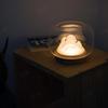 Warm Mountain Light Creative Glass Aquarium Desk Decoration Night Lamp Simple Hand Lamp Handfside Valentine's Day Gift For Valentine's Day | Table Lam