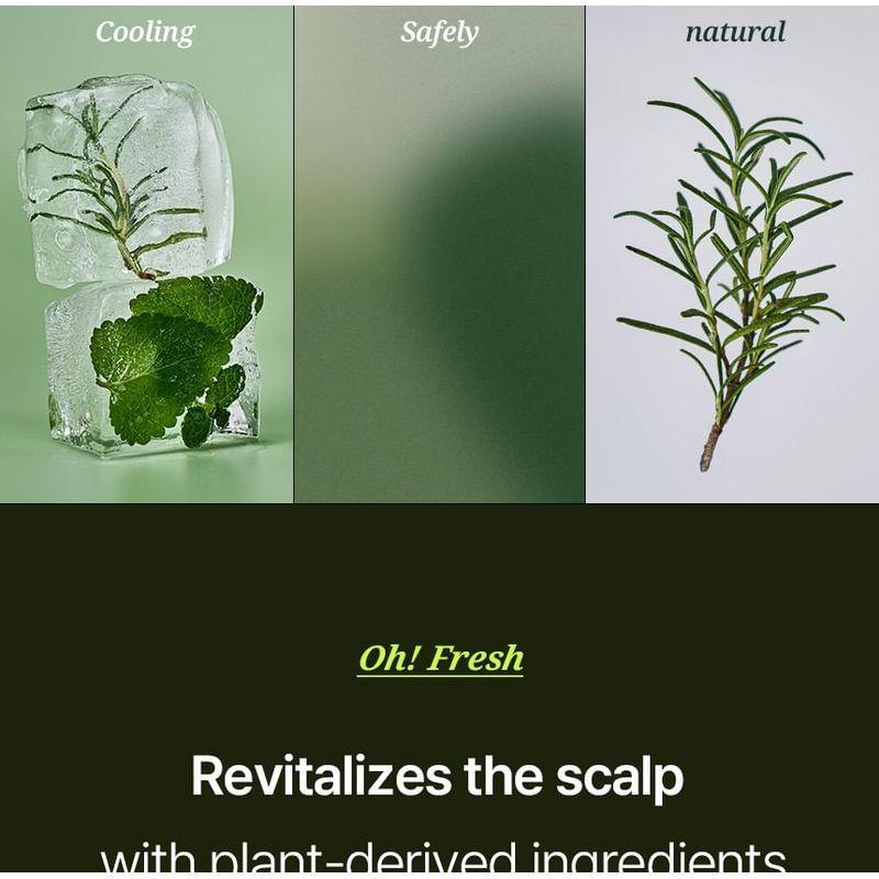 HAIR+ - Oh! Fresh Deep Herbal Scalp & Hair Pack