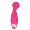 Portable Rechargeable Vibrator Set: Mini AV Vibrator & Teasing Egg for Women