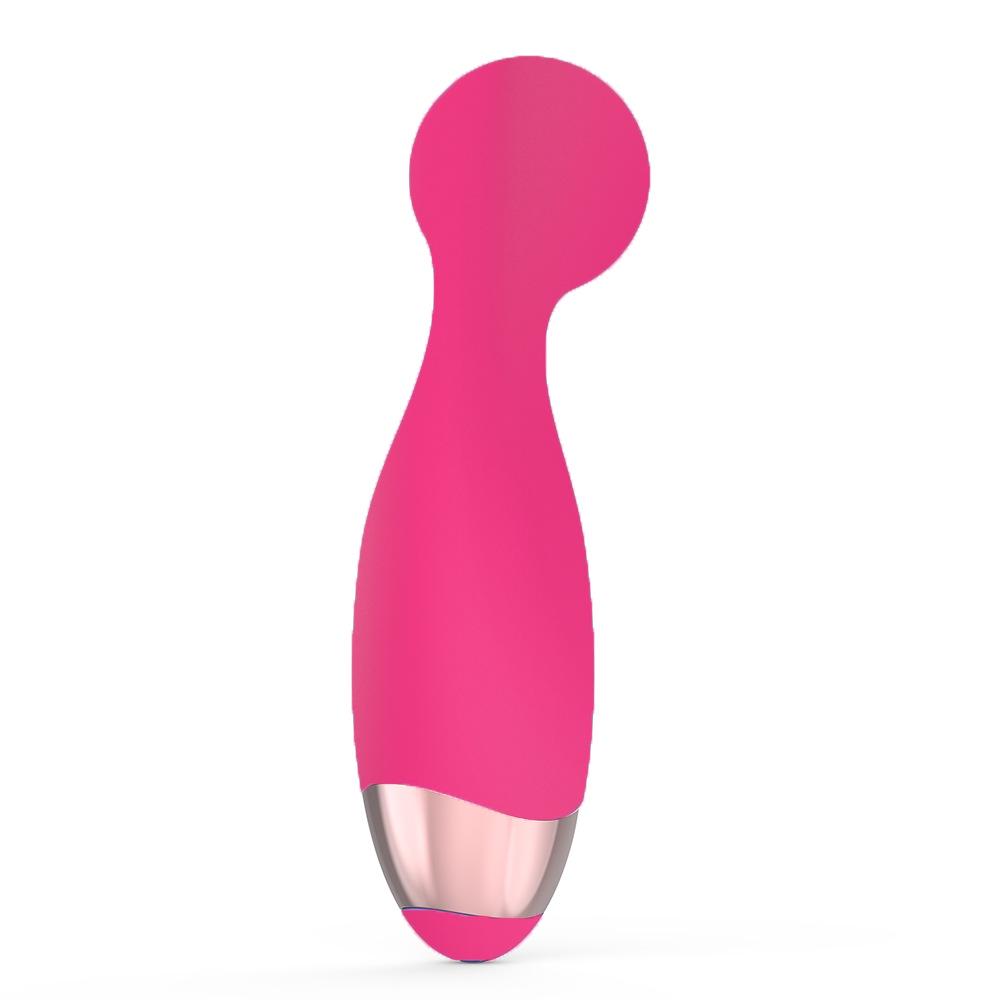 Portable Rechargeable Vibrator Set: Mini AV Vibrator & Teasing Egg for Women