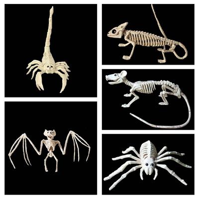 Party Halloween Decoration Mouse Bat Animal Skeleton Plastic  Bones Trick Props Artificial Skull