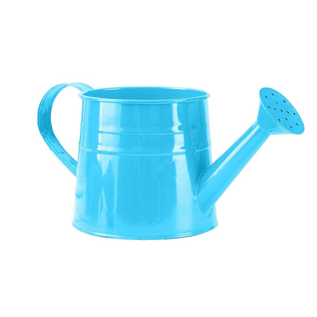 Watering Can Gardening Tools Accessories, Watering Can Plant Watering Can, Metal Garden Watering Can For Indoor & Outdoor Plant Garden