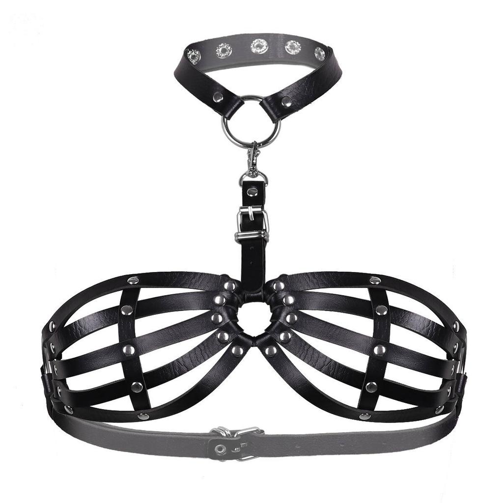 dog bra harness