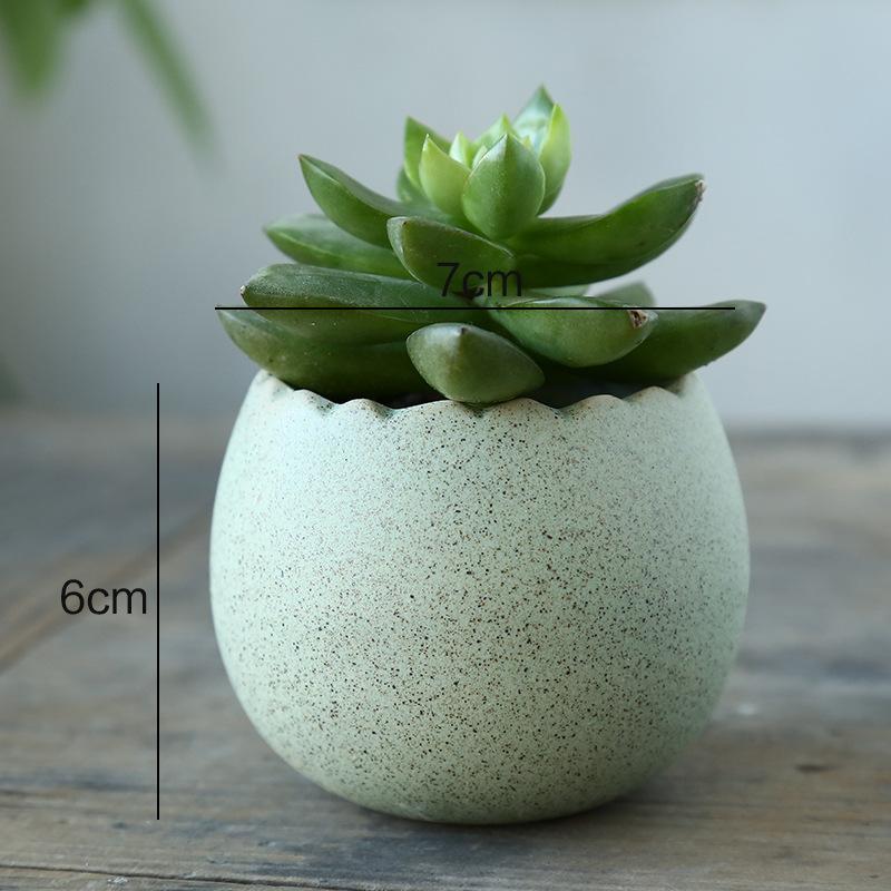 

Суккулентное растение в форме дракона, большой палец, небольшой цветочный горшок, простое офисное украшение, керамический цветочный горшок, украшение для дома, украшения