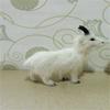 Simulation Goat Plush Toys Cute Goat  Figurine Ornament Goat Plush Doll  Yard