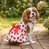 Thin Dog Dress Lightweight Princess Outfit Eye-catching Strawberry Costume  Party Dressing