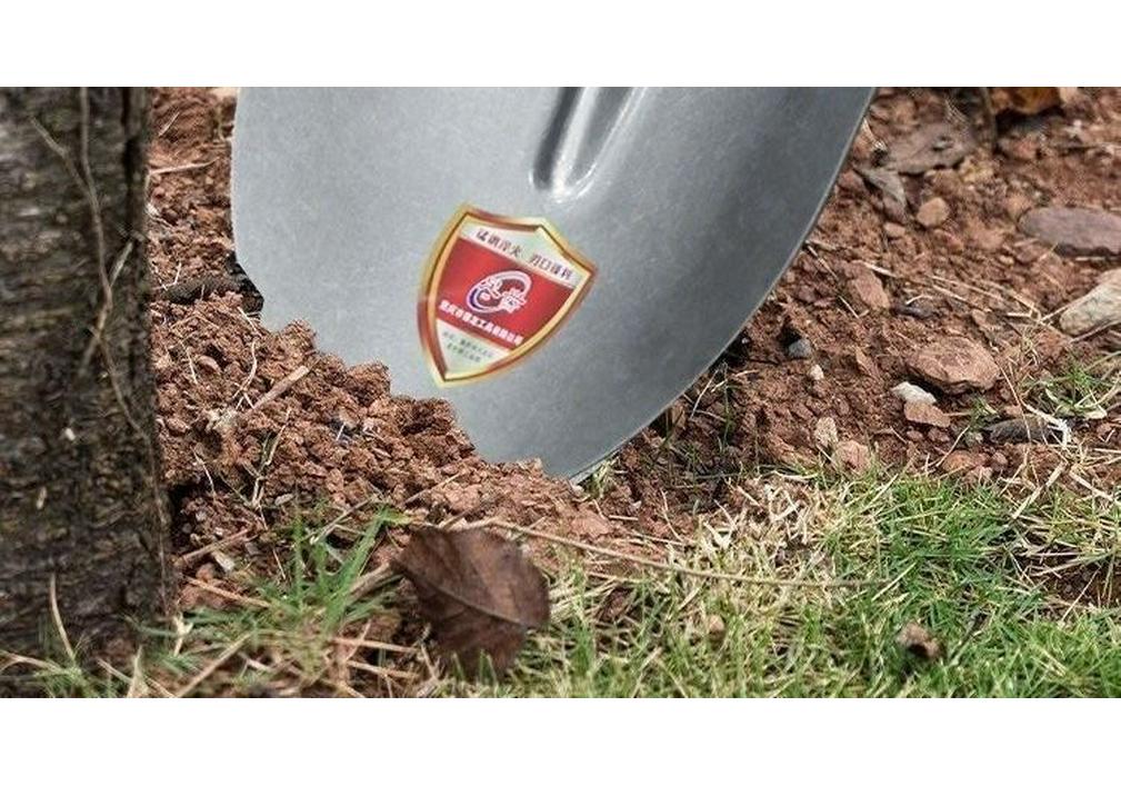 Steel Long-Handled Agricultural Shovel: Thickened, Large Pointed & Flat Head for Gardening & Digging