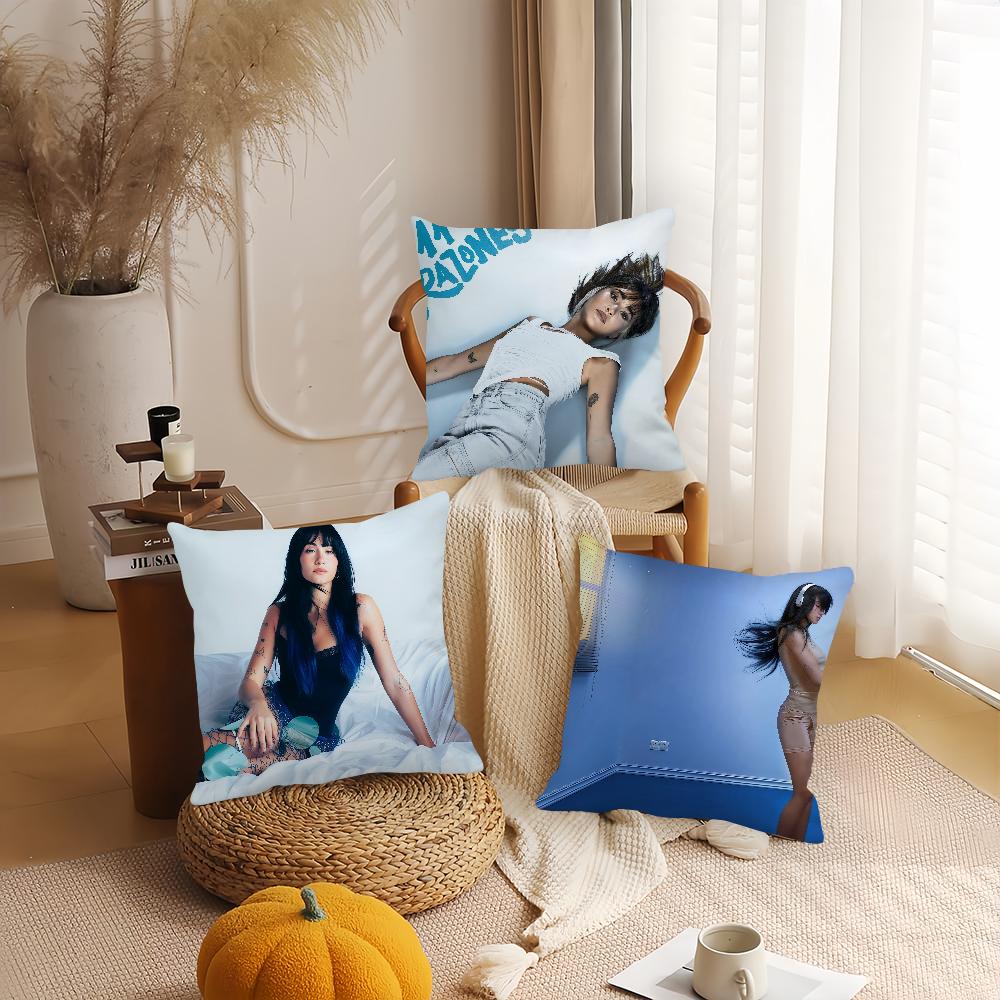 A-aitana Singer O-ocana Pillow Case Applicable Space For Guest Rooms Interiors Cars Office House Decoration