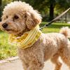Atmungsaktiver Haustier-Snood Verstellbares Hundehalsstützkragen Bequeme Hundeearmstulpen Pflegesalon