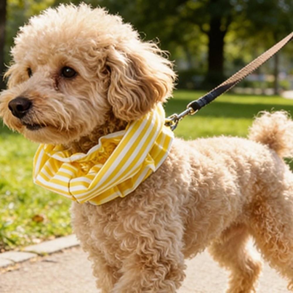 Atmungsaktiver Haustier-Snood Verstellbares Hundehalsstützkragen Bequeme Hundeearmstulpen Pflegesalon