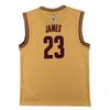 Adidas X NBA Collaboration Cleveland Cavaliers Int Replica Jrs LeBron James Round Neck Fashion Soft Comfortable Sleeveless Basketball Jersey A61198