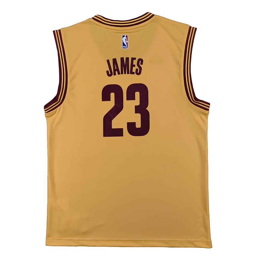 Adidas X NBA Collaboration Cleveland Cavaliers Int Replica Jrs LeBron James Round Neck Fashion Soft Comfortable Sleeveless Basketball Jersey A61198